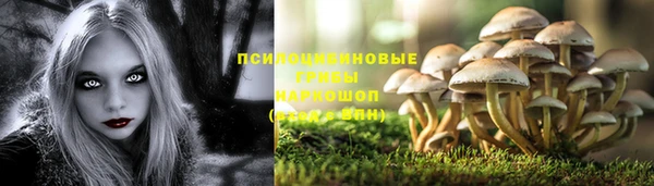 mdpv Усолье-Сибирское